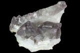 Purple Fluorite Crystals on Druzy Quartz - China #100728-1